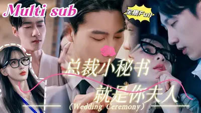 蜜恋小秘书，总裁我不从！