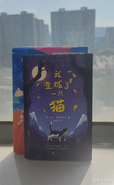 修仙从变成猫开始