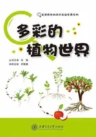 魔能植物：我能看见提示