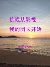 从我的团长我的团开始抗日