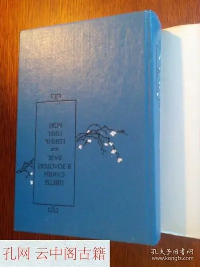 农门有女金宝珠