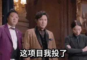 这个项目，我王多年投了