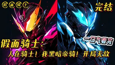 我只是一个从心的假面骑士